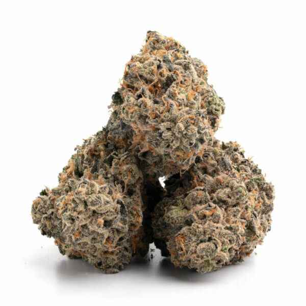 Jealousy cannabis strain - premium kwaliteit cannabis voor groothandel