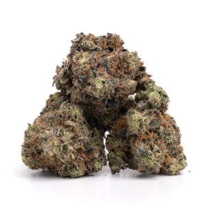 LA Chocolate cannabisstrain - premium wiet voor groothandel
