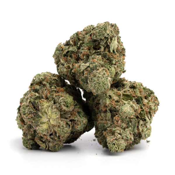 LA Confidential Cannabis Strain - Premium Kwaliteit voor Groothandel