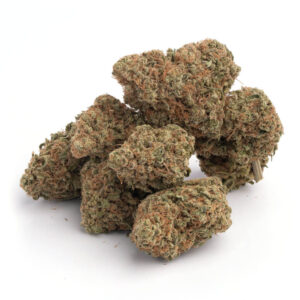 Lamb's Bread cannabiszaad met energieke effecten en rijke smaak