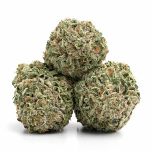 Lemon Drop cannabis strain - premium kwaliteit cannabis met citroensmaak voor groothandel