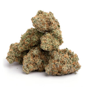 Lemon Meringue Cannabis Strain - Verfrissende Sativa voor Groothandel