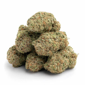 Maui Wowie cannabis strain in bulk - premium Sativa kwaliteit voor groothandel
