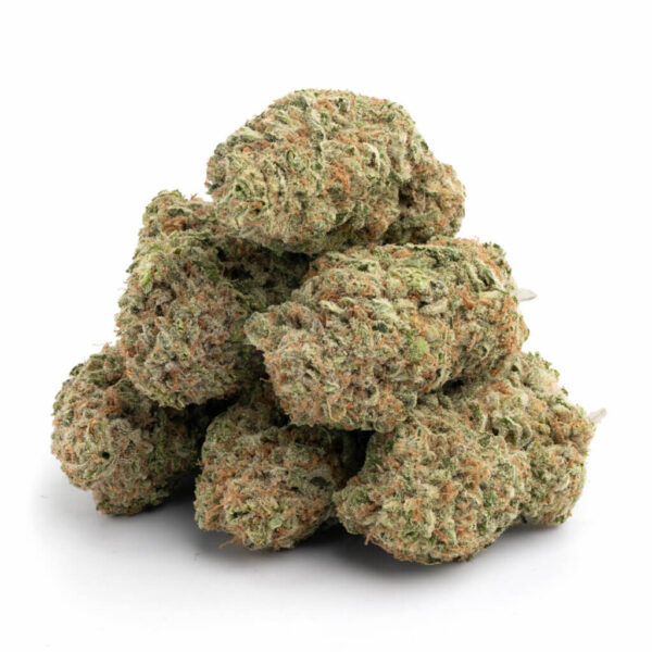 Maui Wowie cannabis strain in bulk - premium Sativa kwaliteit voor groothandel