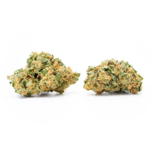 McGrupp cannabis strain - premium hybride voor groothandel in Nederland