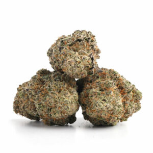 Mike Tyson cannabisstrain in premium kwaliteit