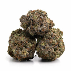 Northern Lights cannabis strain close-up view