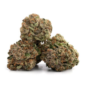 OG Shark cannabis strain - premium indica voor groothandel in Nederland