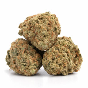 Orange Cookies cannabis strain - premium hybride voor groothandel in Nederland