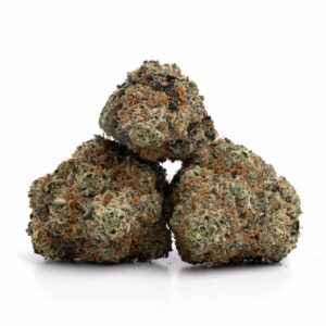 Pine Tar cannabis strain - Premium kwaliteit voor groothandel in Nederland