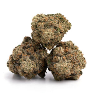 Pink Bubba Cannabis Strain - Premium Indica Kwekerij in Nederland