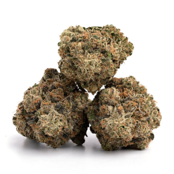 Pink Bubba Cannabis Strain - Premium Indica Kwekerij in Nederland