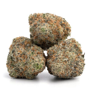 Pink Cookies cannabis strain in groothandels bulkverpakking