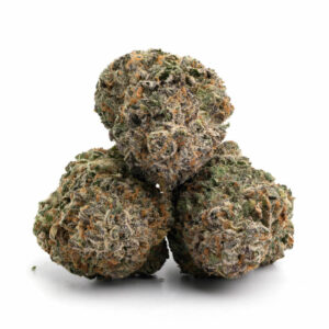 Purple Candy cannabis strain met opvallende paarse toppen en rijke trichomen