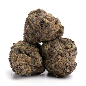 Purple Punch cannabiszaad - Premium kwaliteit voor groothandel
