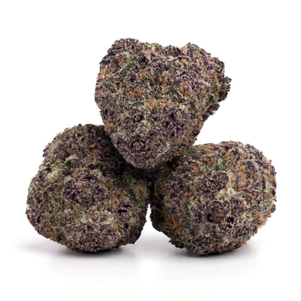 Purple Space Cookies cannabis strain - premium kwaliteit voor groothandel