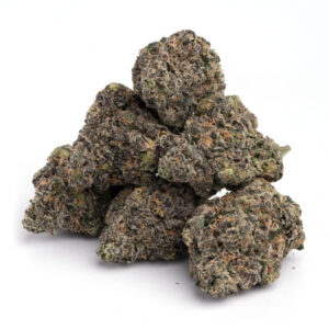 Purple Tangie Cannabis Strain - Premium Sativa voor Groothandel