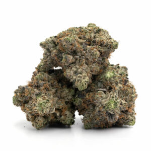 Rainbow Kush Mints cannabis zaadjes met frisse mint-smaak en krachtige effecten - ideaal voor groothandel