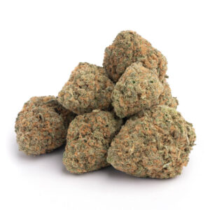 Red Congolese Cannabis Strain - Hoogwaardige Sativa voor Groothandel