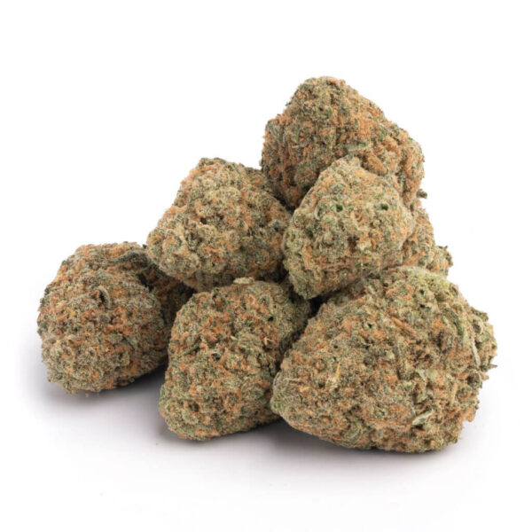 Red Congolese Cannabis Strain - Hoogwaardige Sativa voor Groothandel