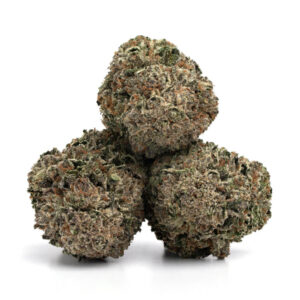 Skywalker OG cannabiszaad