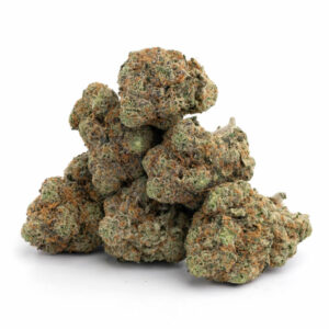 Sour Tangie Cannabis Strain - Verfrissende Sativa voor Groothandel