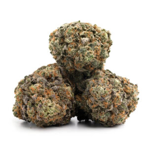 Tom Ford Pink Death cannabisstrain met hoogwaardige bloei - Groothandel beschikbaar