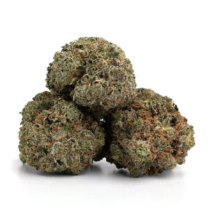 White Rhino cannabis strain – Premium groothandelswiet op de Nederlandse markt