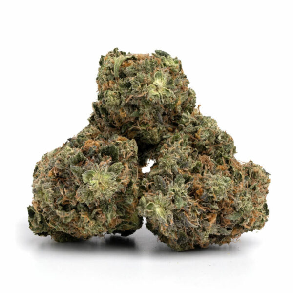 Zombie OG Cannabis Strain – Premium Groothandel in Nederland